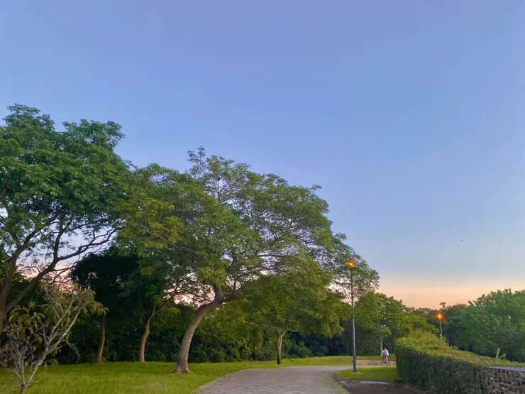 近期很喜歡待的公園