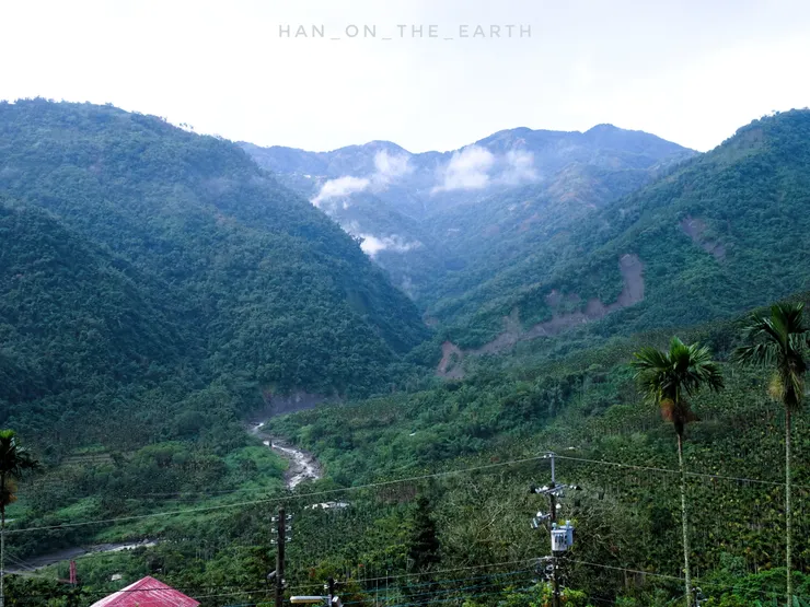 免費觀景台的視野,鷺群會在溪谷上方盤旋