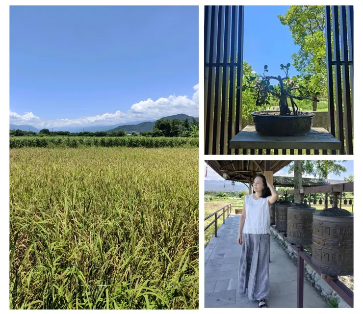 轉經輪步道外一眼望穿是令人心曠神怡的宜蘭稻田