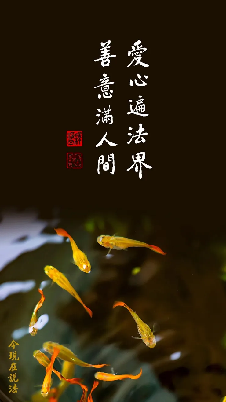 專心持念「阿彌陀佛」萬德洪名,期生淨土