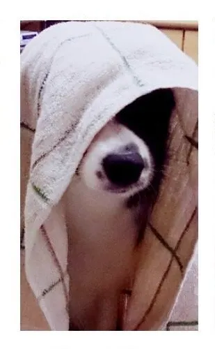 小時候洗好澡也愛頂著浴巾到處跑