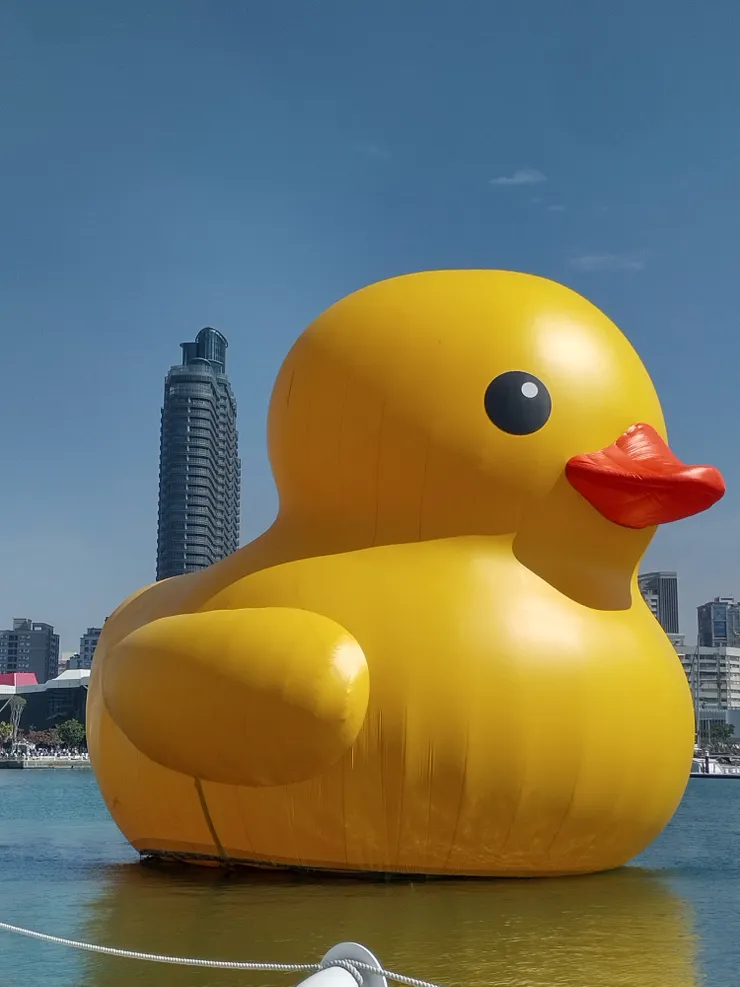 C11真愛碼頭的小鴨