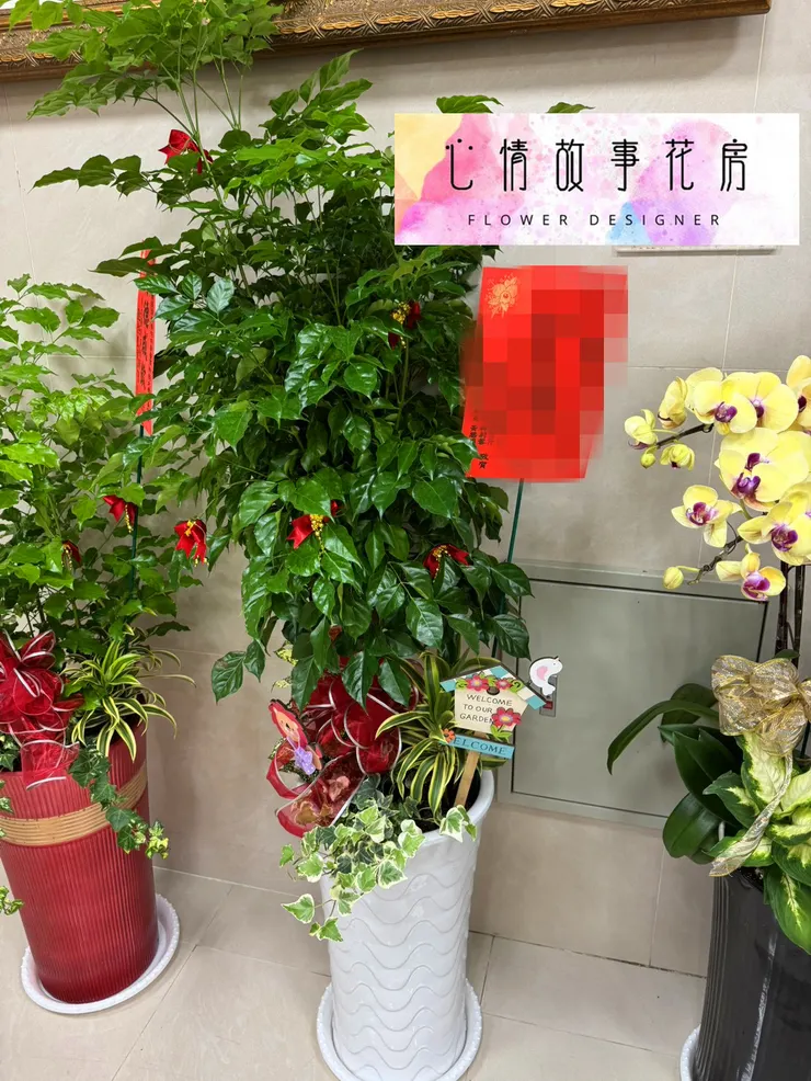 台南安南區在地花店推薦｜心情故事花房——用花訴說你說不出口的溫柔