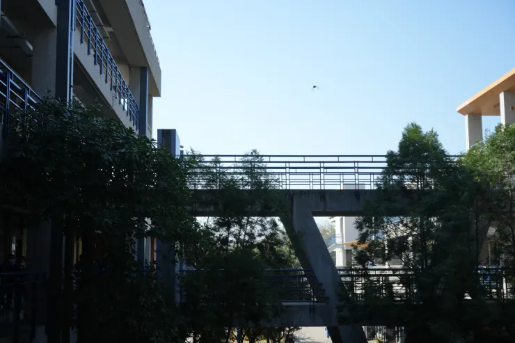 非正式教師的命運,就有如無枝可依的飛鳥,仍在尋找一個合適的落腳處。(攝影/洪崇銘)