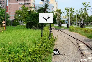 分歧指示牌,土庫線在左邊草叢中(向北拍)