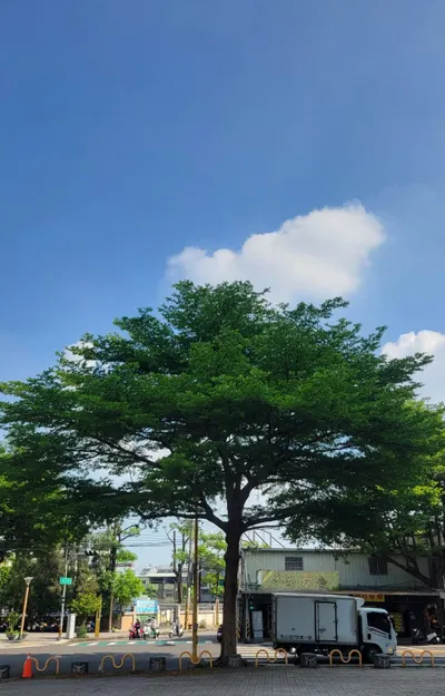 2025/10/07 近期心情記事