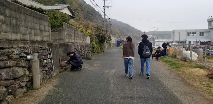 路上有不少在逗貓貓的人，我甚至看到有人抱著貓坐然後睡著了