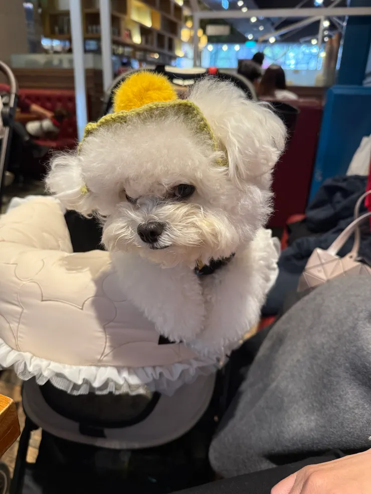 崩壞的表情^o^,最愛瞪人的眼神