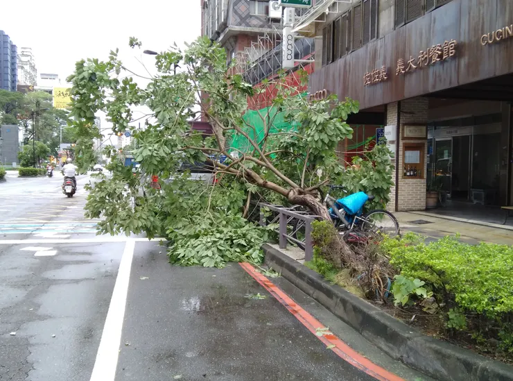 高雄裕誠路(自拍)