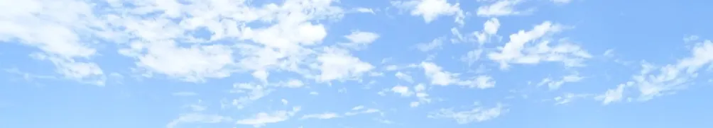 許普諾斯．蝦米的沙龍