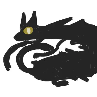 歐歐是隻黑色卯咪的沙龍