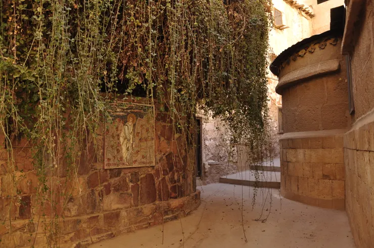 傳說中摩西「燃燒的荊棘」的後代