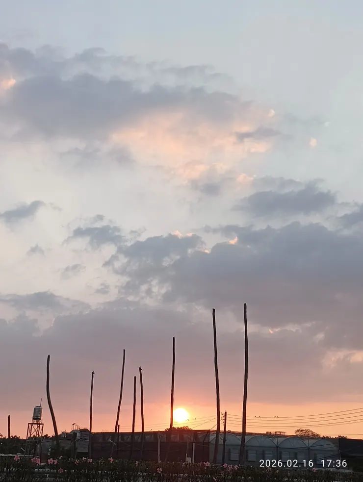 鳥雀呼晴夕陽紅