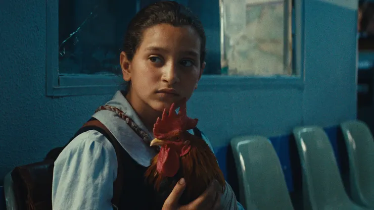 圖片來源：電影劇照(The Movie Database, TMDB)