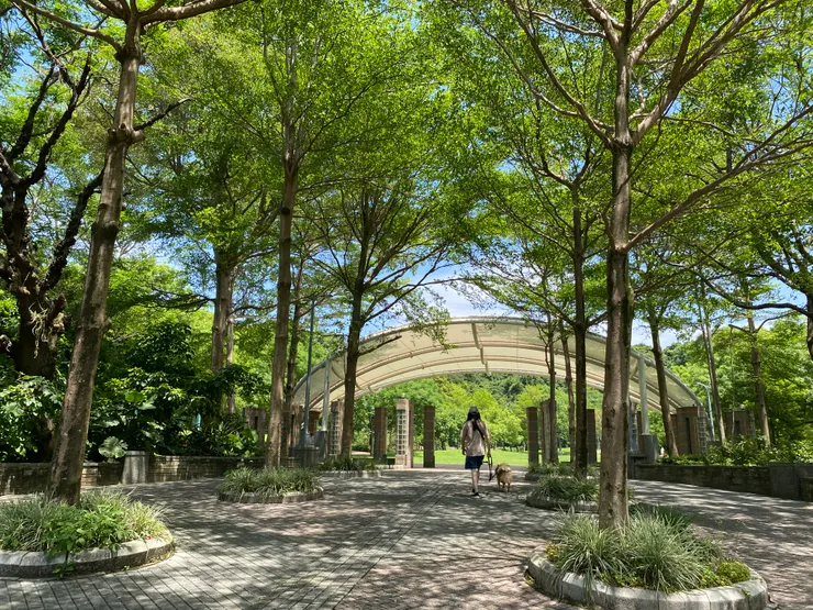 綠意盎然的萬坪公園，文山景美運動公園