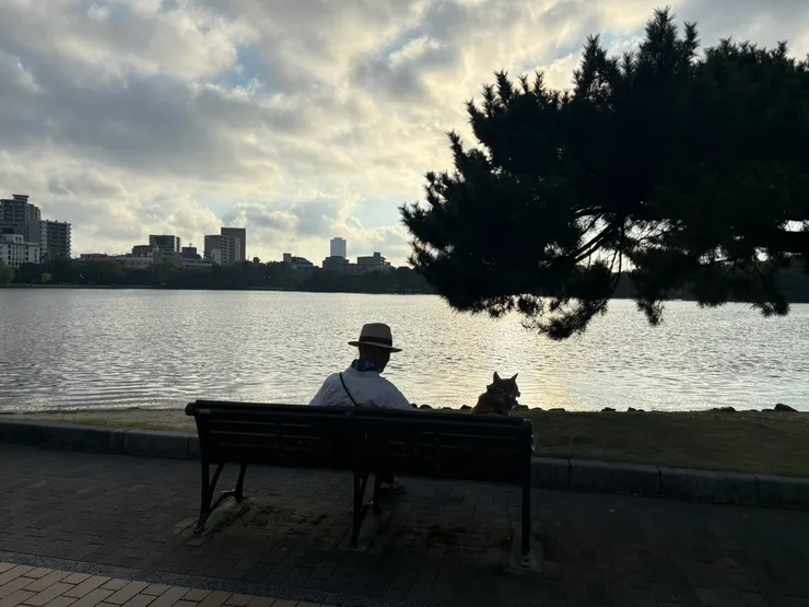 2025大壕公園的老人與狗