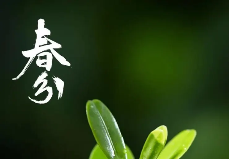 圖片取自網路加以裁剪而成，侵權刪。 