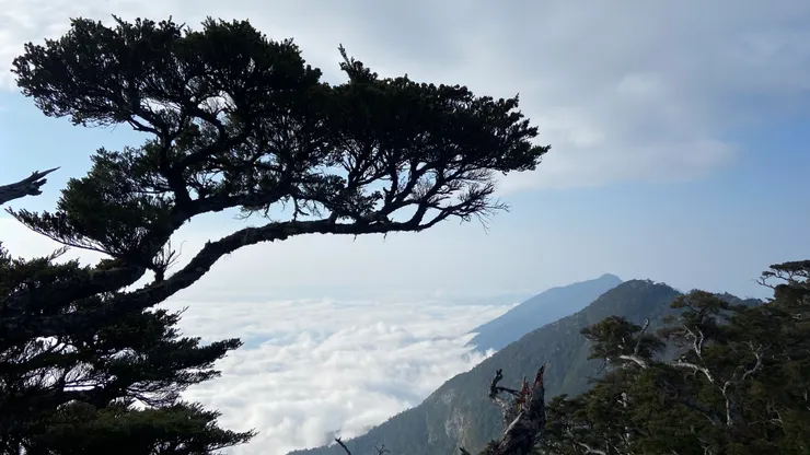 我們去爬山時，你拍的雲海。那幾天是我最美好的時光。