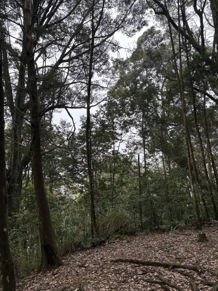 碎石路面維護良好