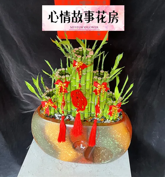 #最多臺南人選擇花店 #心情故事花房 #弔唁蘭花 #臺南喪事蘭花 #臺南殯儀館花店 #台南心情故事花房 #臺南GOOGLE地圖評分最高花店 #喪事蘭花 #喪事花禮 #追思花禮 #告別式用花 #喪禮致意 #追思花籃 #追思蘭花 #台南開運竹 #台南蘭花 #台南開運竹 #台南盆栽 #台南花卉 #高架花籃 #追思高架花籃 #喪用追思 #弔唁高架花籃 #開運竹 #台南開運竹 #創意開運竹