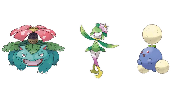 妙蛙花、裙兒小姐(洗翠的樣子)以及毽子棉