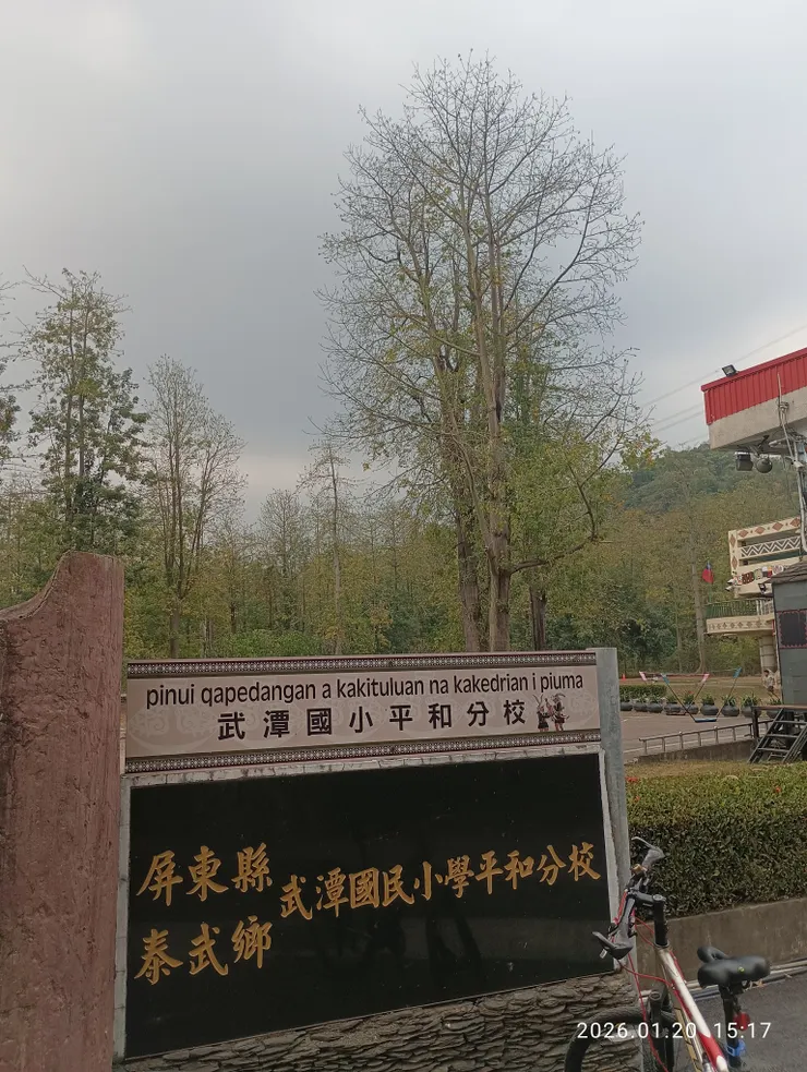 可惜了！風華，往事，成灰。