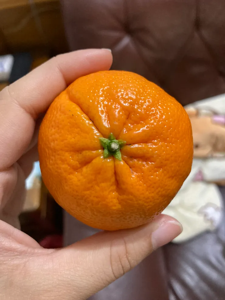 敲口愛的橘子🍊