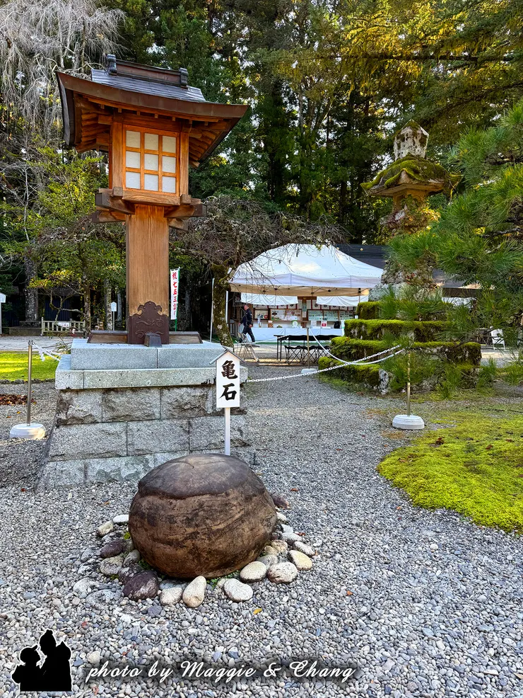 拜殿前方有一顆「龜石」，還真的蠻像的