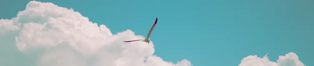 蘇崇仁的部落格