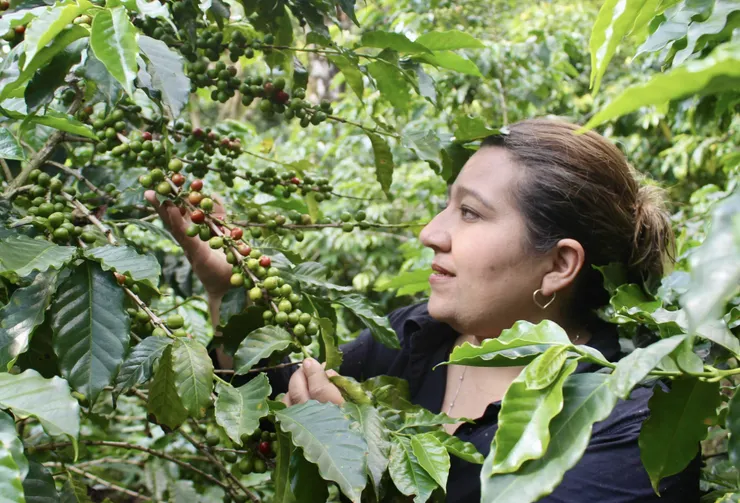 來自瓜地馬拉的咖啡農Paty Perez。