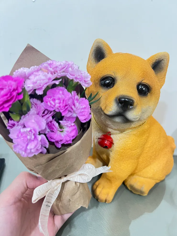 送給小橘的一束花。