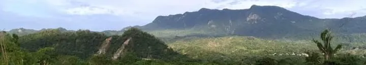 崔斯坦的異想時間的沙龍