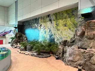 縱然被加上很多的責任與義務,或是成為與別人比較的對象,那又如何呢?還是可以選擇開心的活下去。然後把這一份開心,分享到想要祝福的地方。特定的人也好,一個房間也行,這是可以馬上就做到的事。不要看輕這樣的祝福動作,可以讓自己心靈的焦點專注在某項人事物上,並且發生一定的效力。