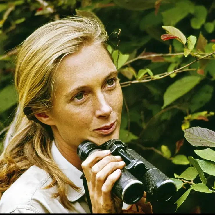 珍．古德（Jane Goodall, 1934–2025）