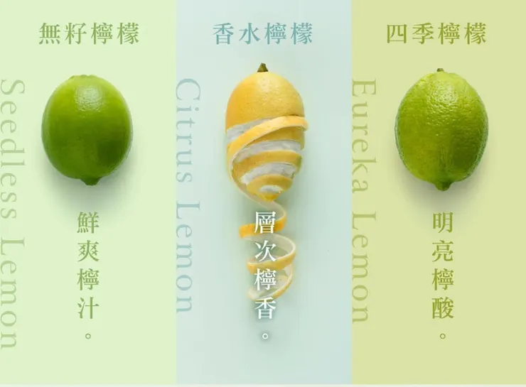 三種檸檬的立體酸香