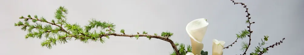 尤秋玲(沈陵) ─字尤字在寫作簿