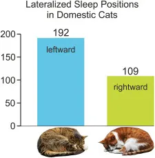 圖片來源：期刊