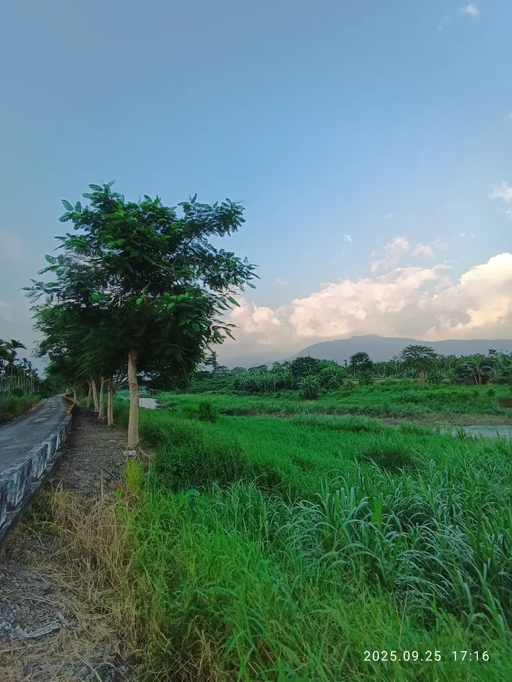 一派秋聲入村廓