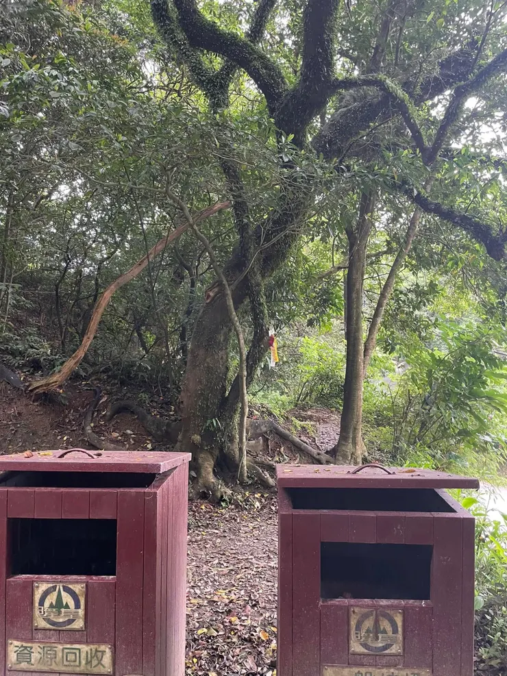 大武崙山登山口