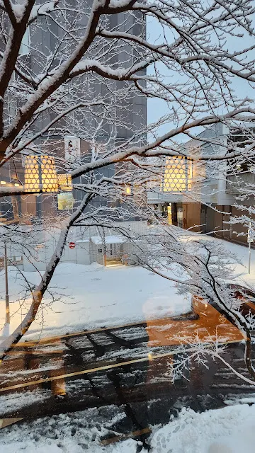 選了靠窗的座位，搭配雪景非常享受