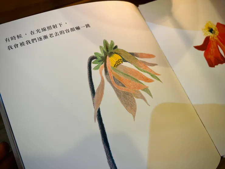 我們都會老去。在生命熱浪逐漸退去的過程裡，重新感悟友誼。