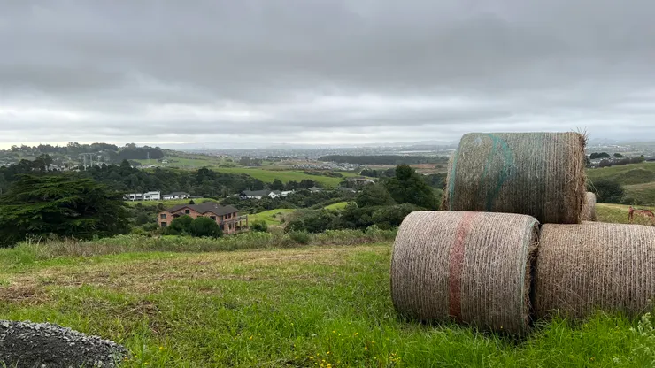 童年的幻想成真了啊!辛蒂熊可能不知我內心有如此奇妙的OS......