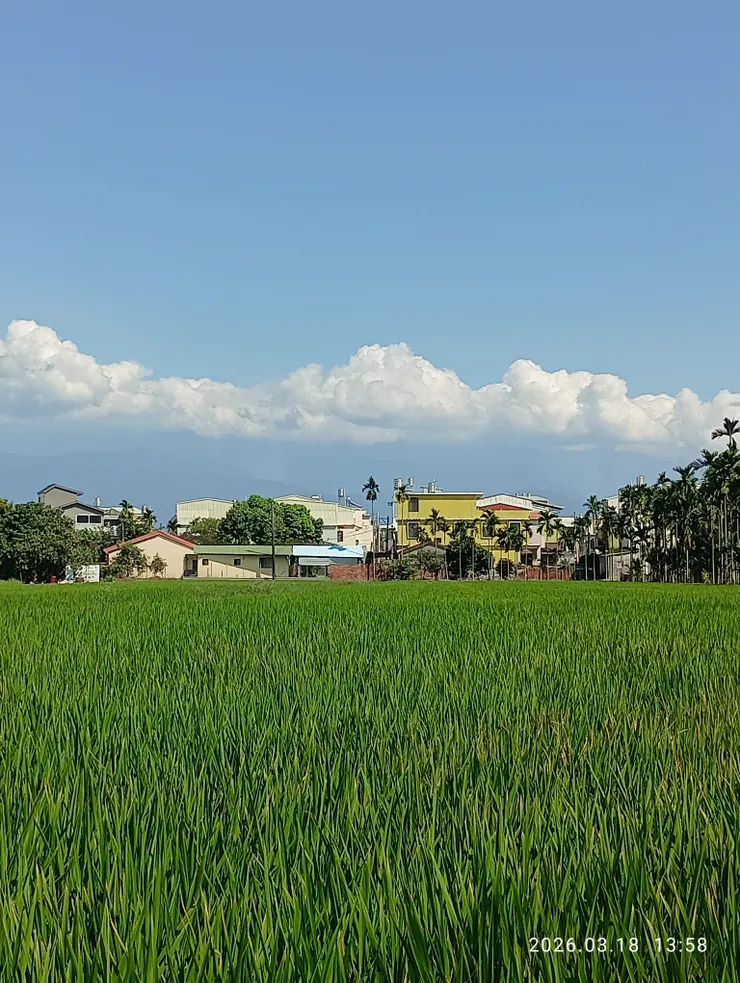 近鄉不敢問來人