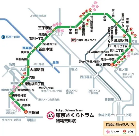 都電荒川線路線図