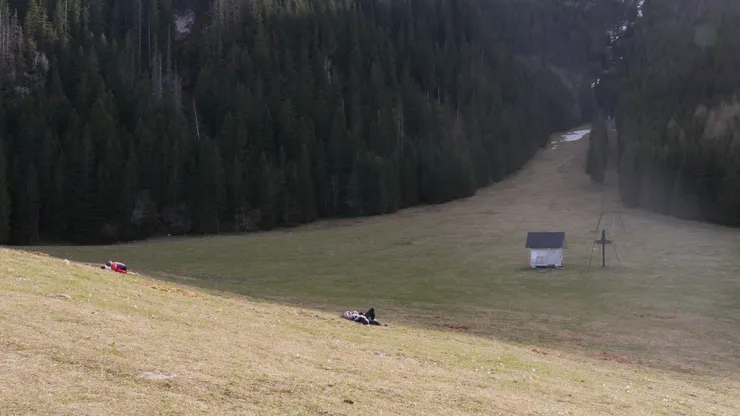 很適合野餐、躺下來耍廢