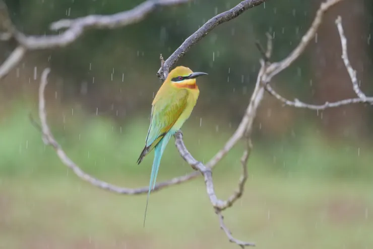 好像wall paper一樣