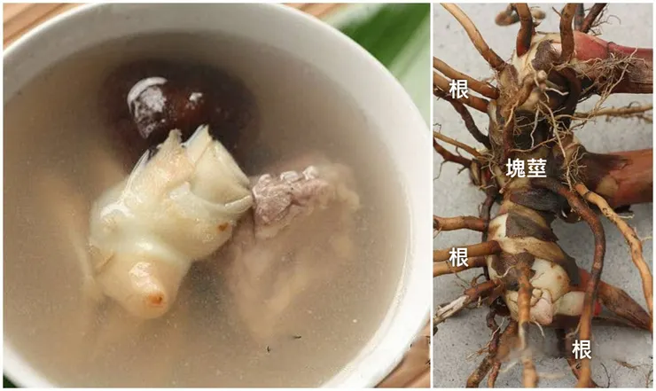 月桃塊莖燉排骨，是醫藥不豐與物質匱乏年代的補品