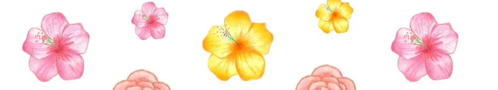 SheepCloud 生活記事本的沙龍