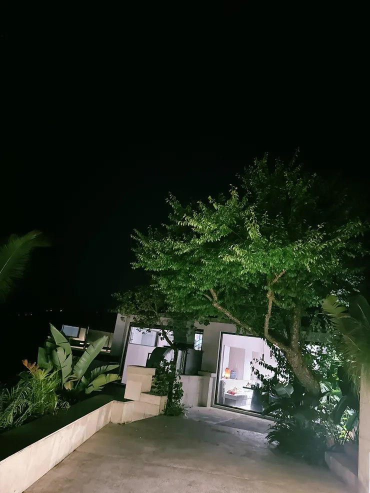 整個夜間餐廳有好多樹喔