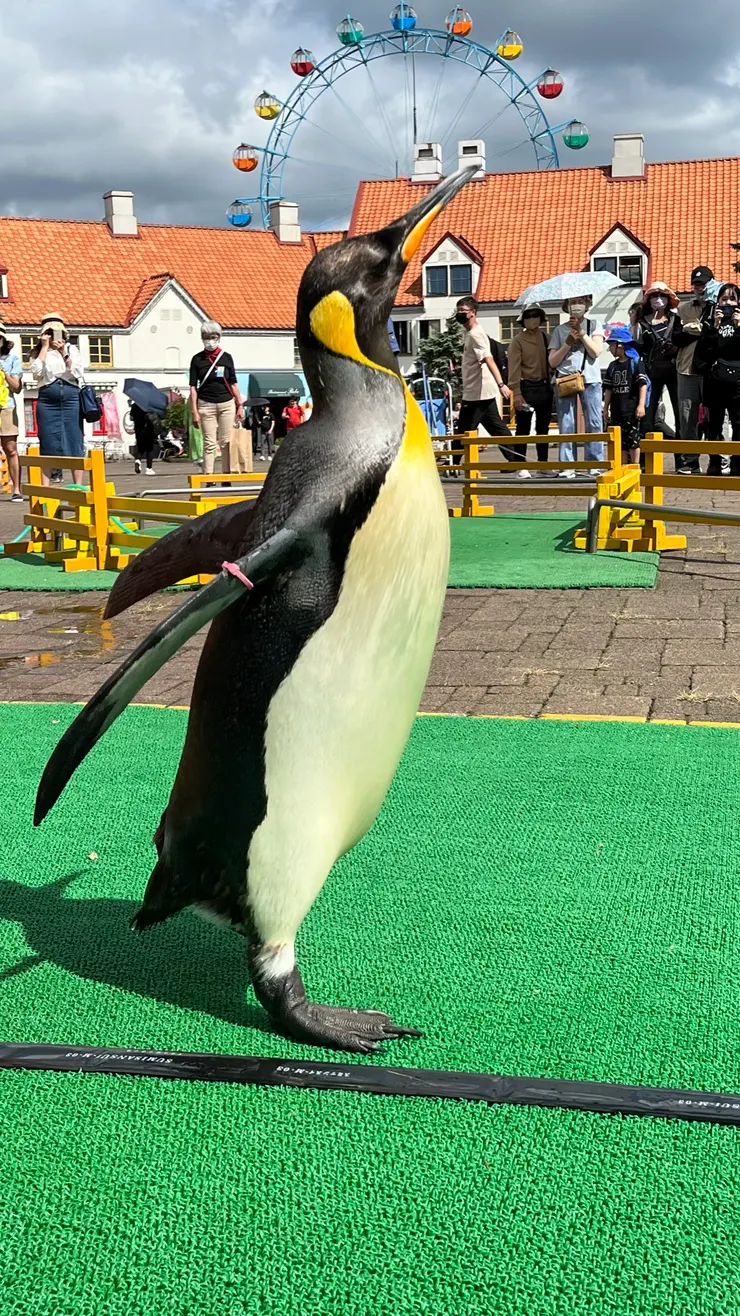 應該只能用可愛來形容了吧。